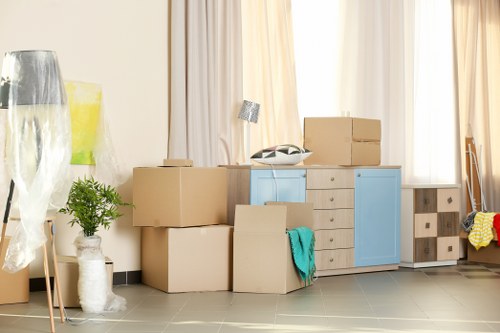 Van loading safety equipment and moving boxes
