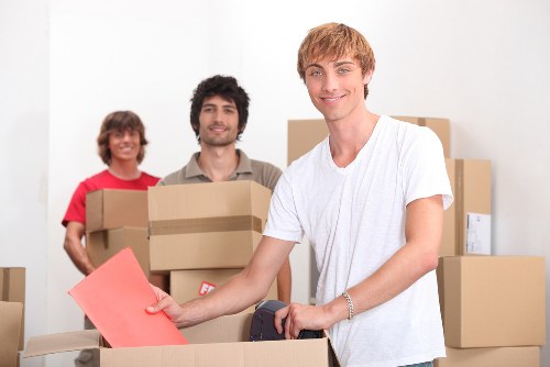 Professional man and van team handling furniture in Crofton Park